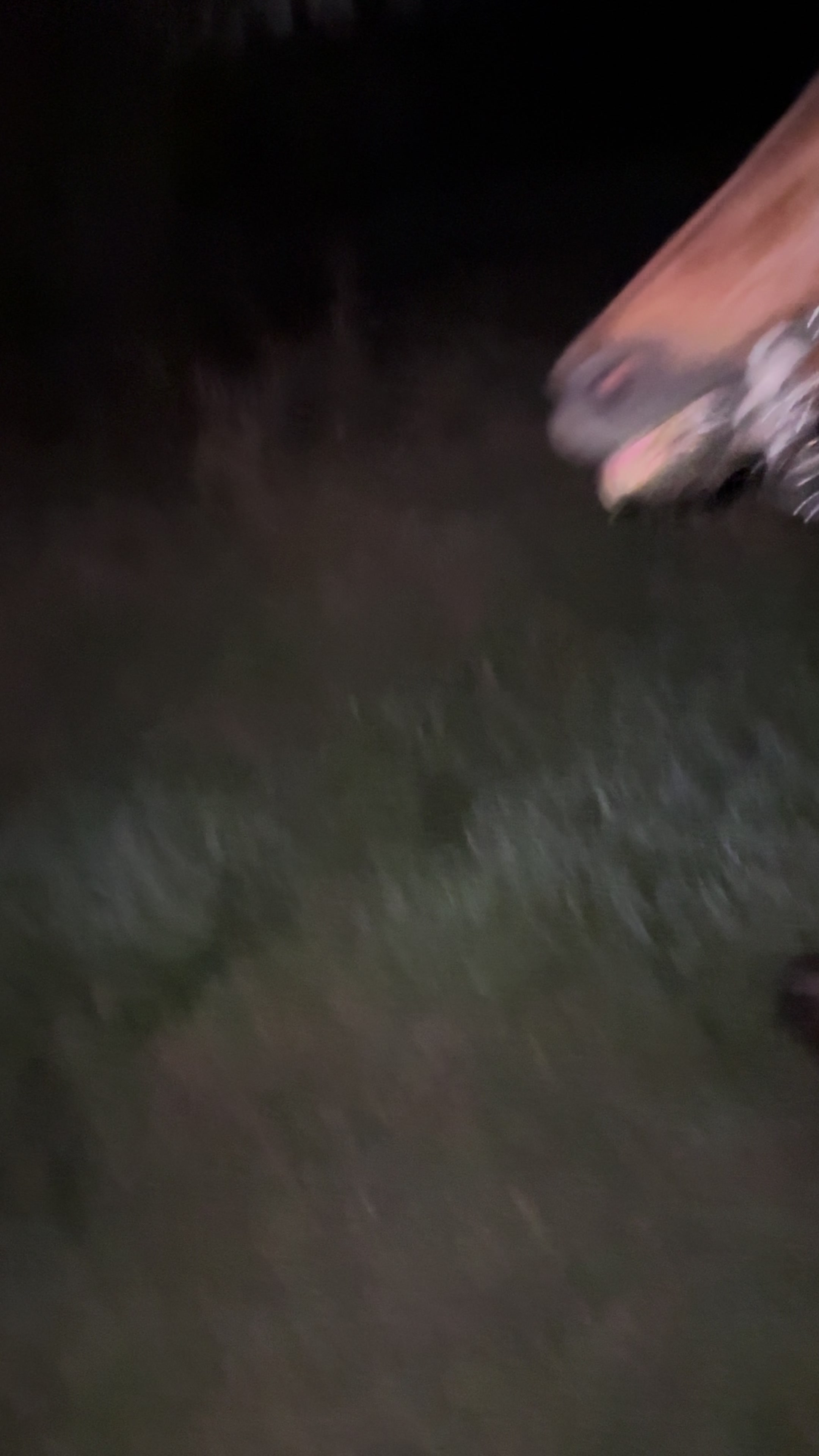 @Andresb🧃