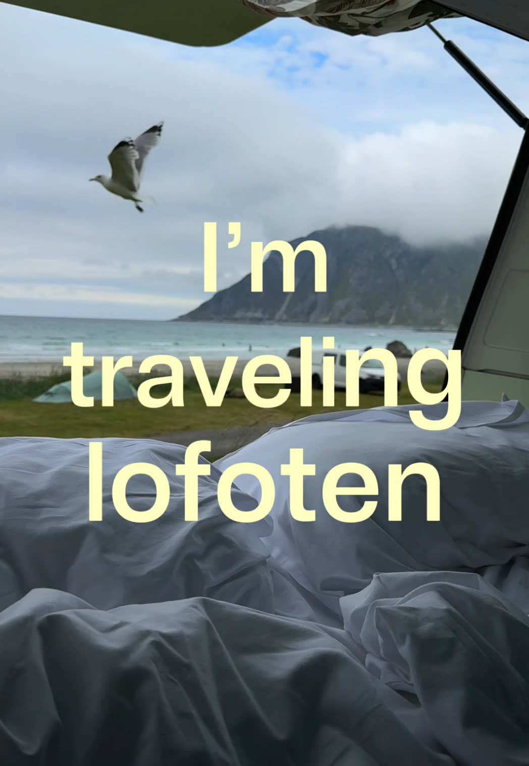 @ali going abroad.
