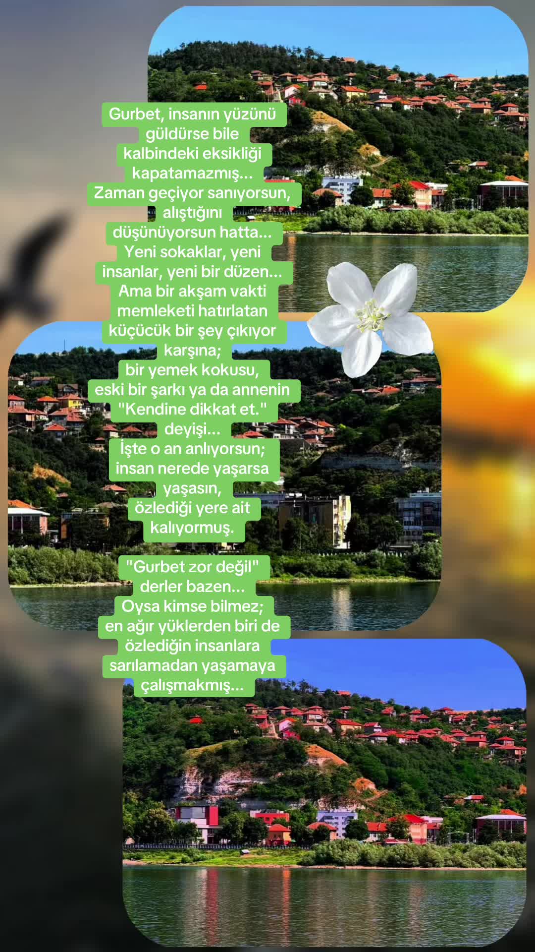 @Merel Hüseyinova🎀