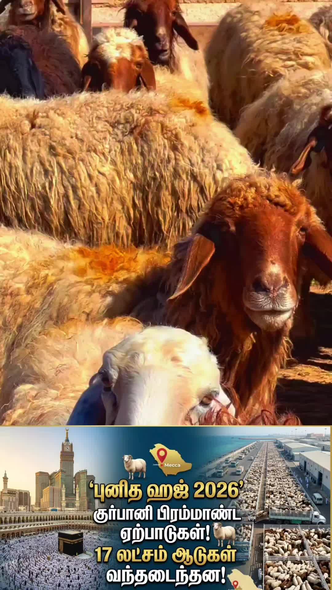 @Juwaideen
