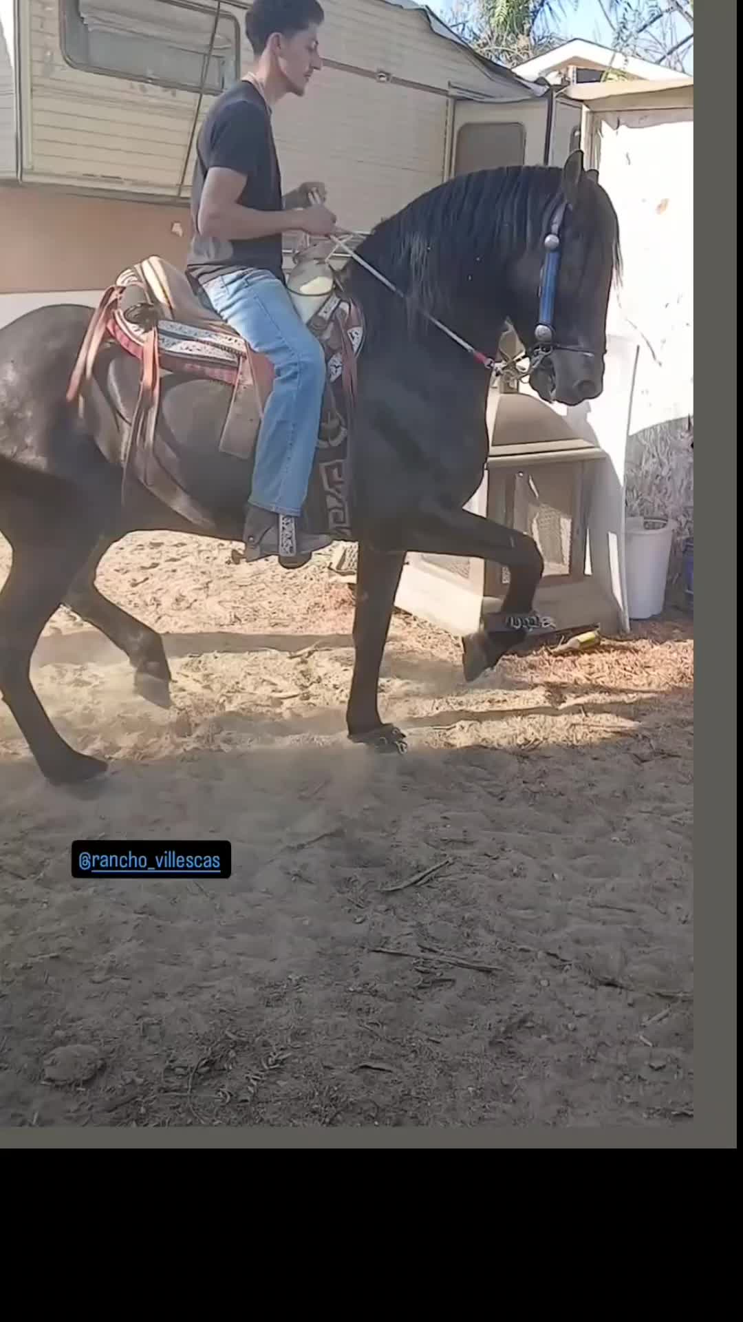 @yahirtorres6781