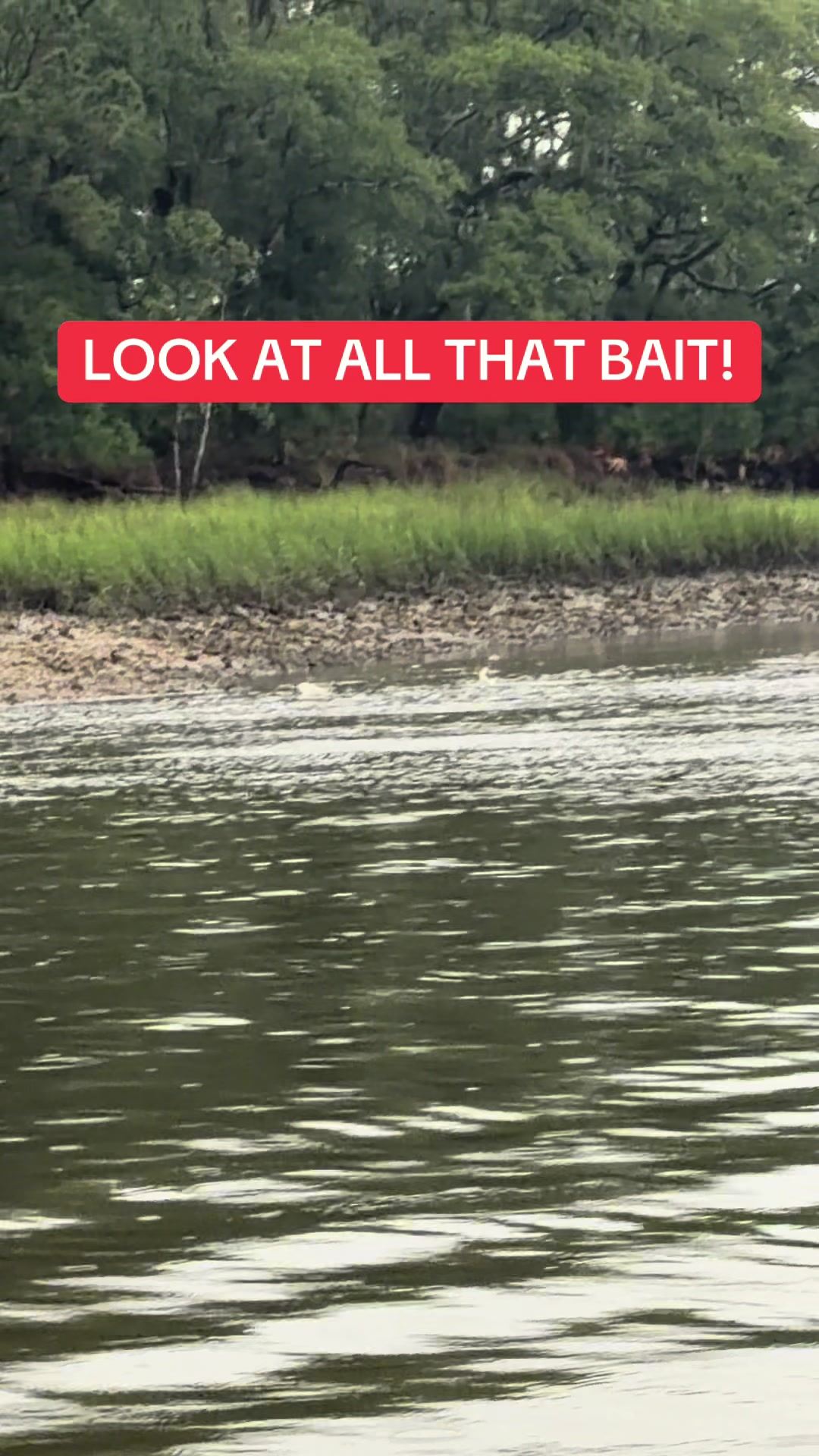 @BeaufortSC_Bait