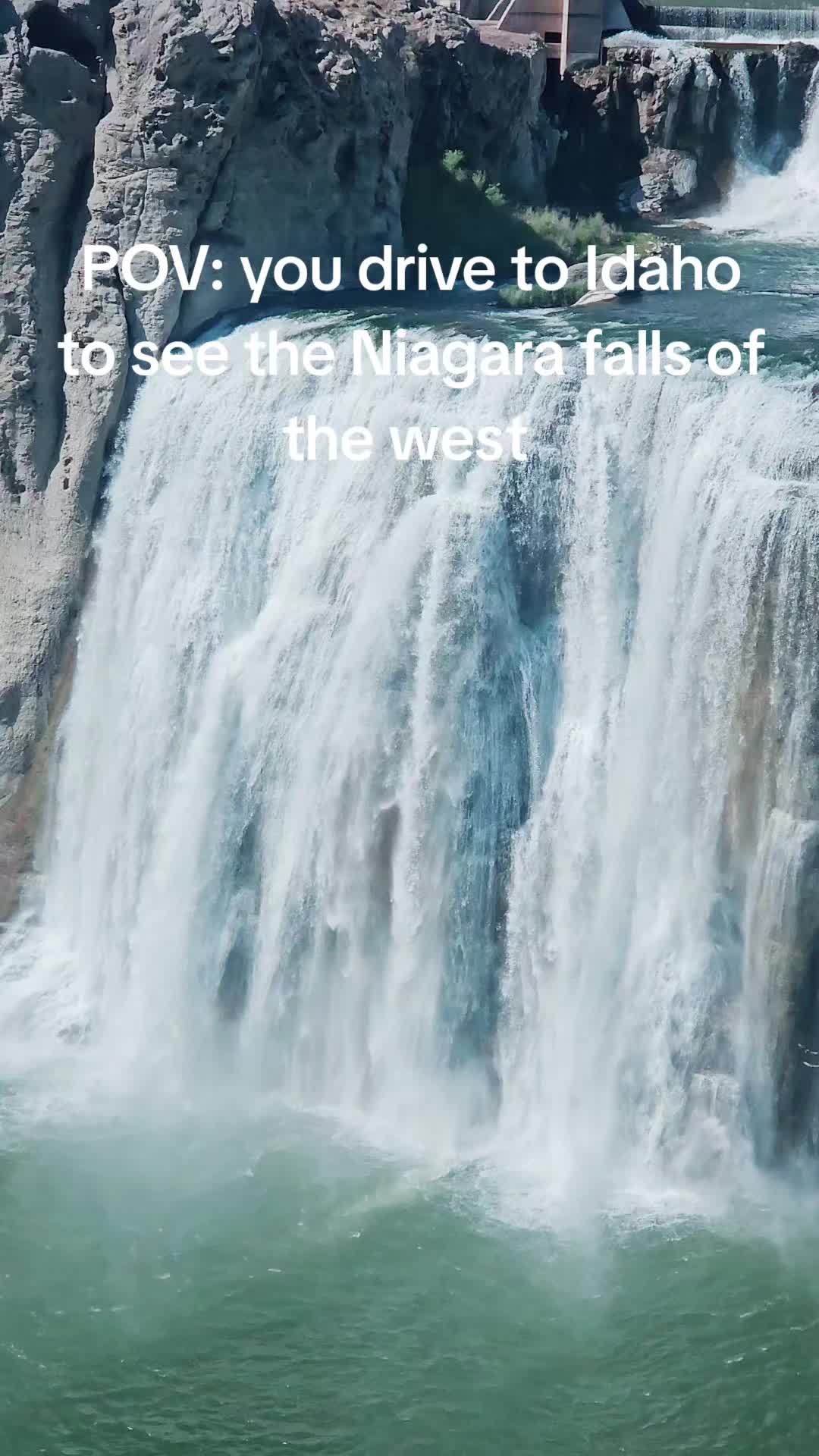 @Angelee