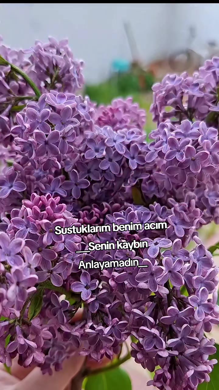 @kyplrdym
