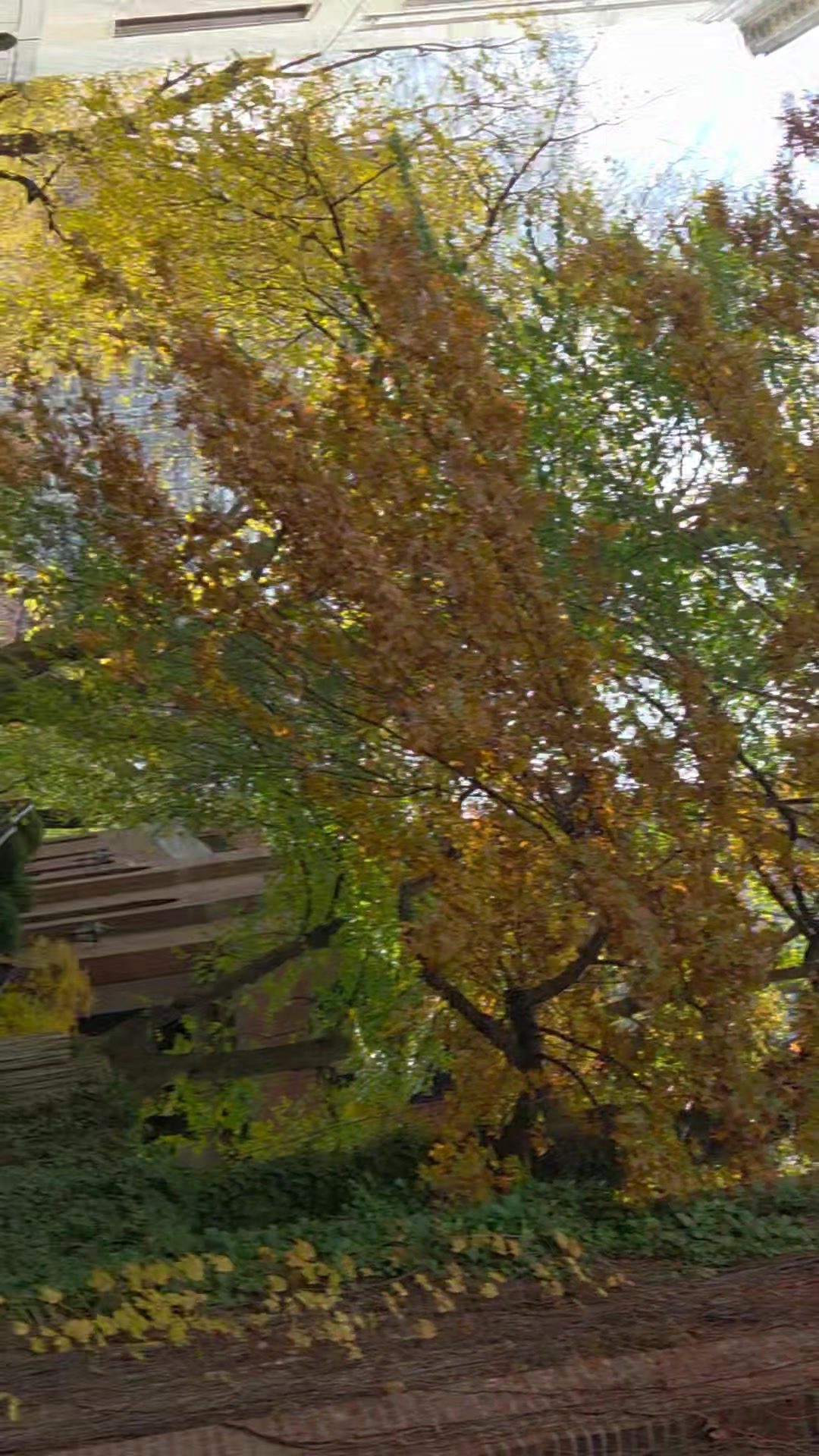 @bryanat