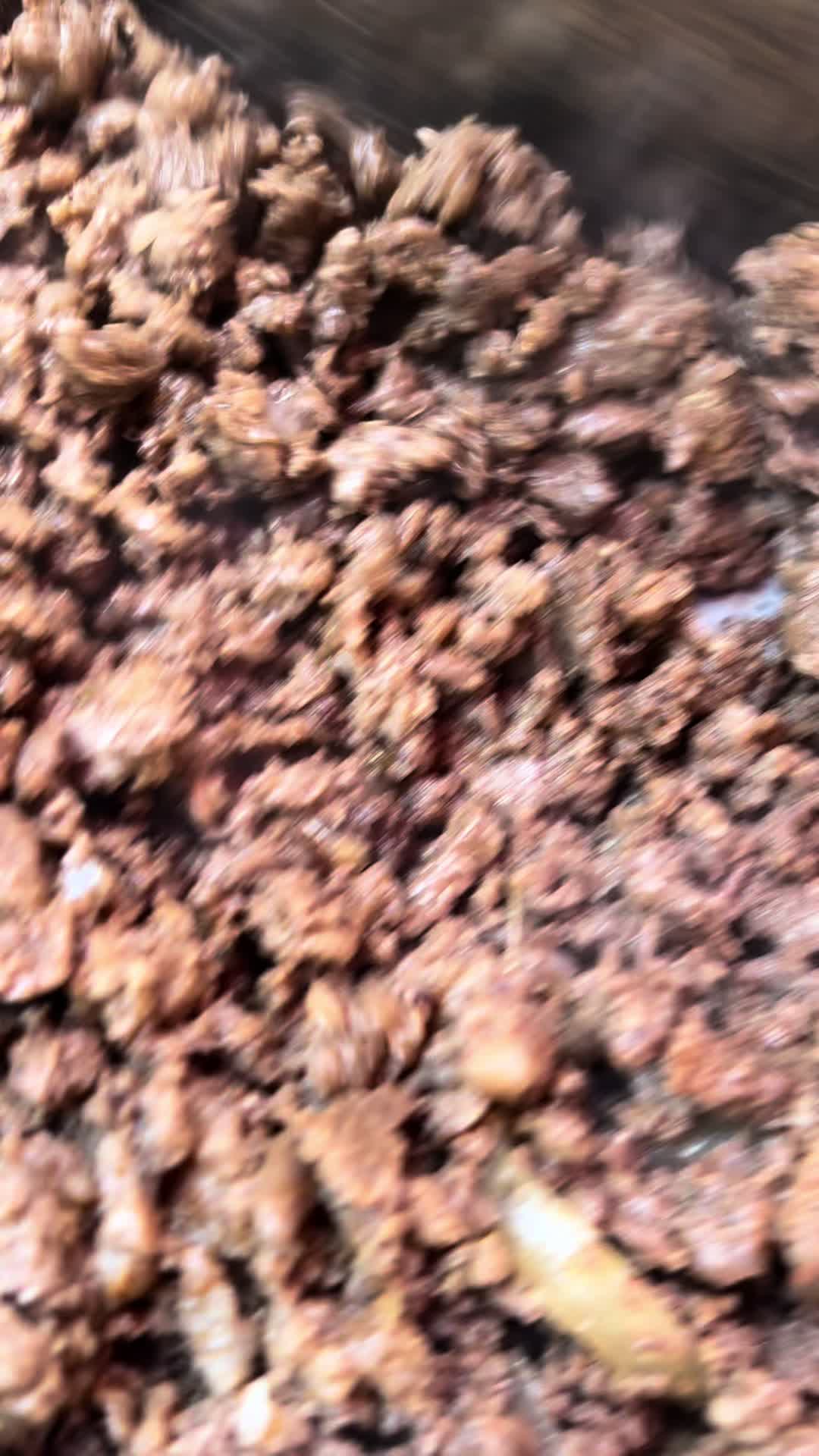 @Love.Momos.tacos
