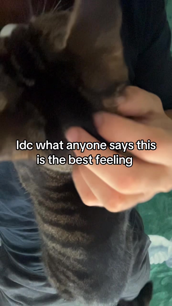 @Tiggy