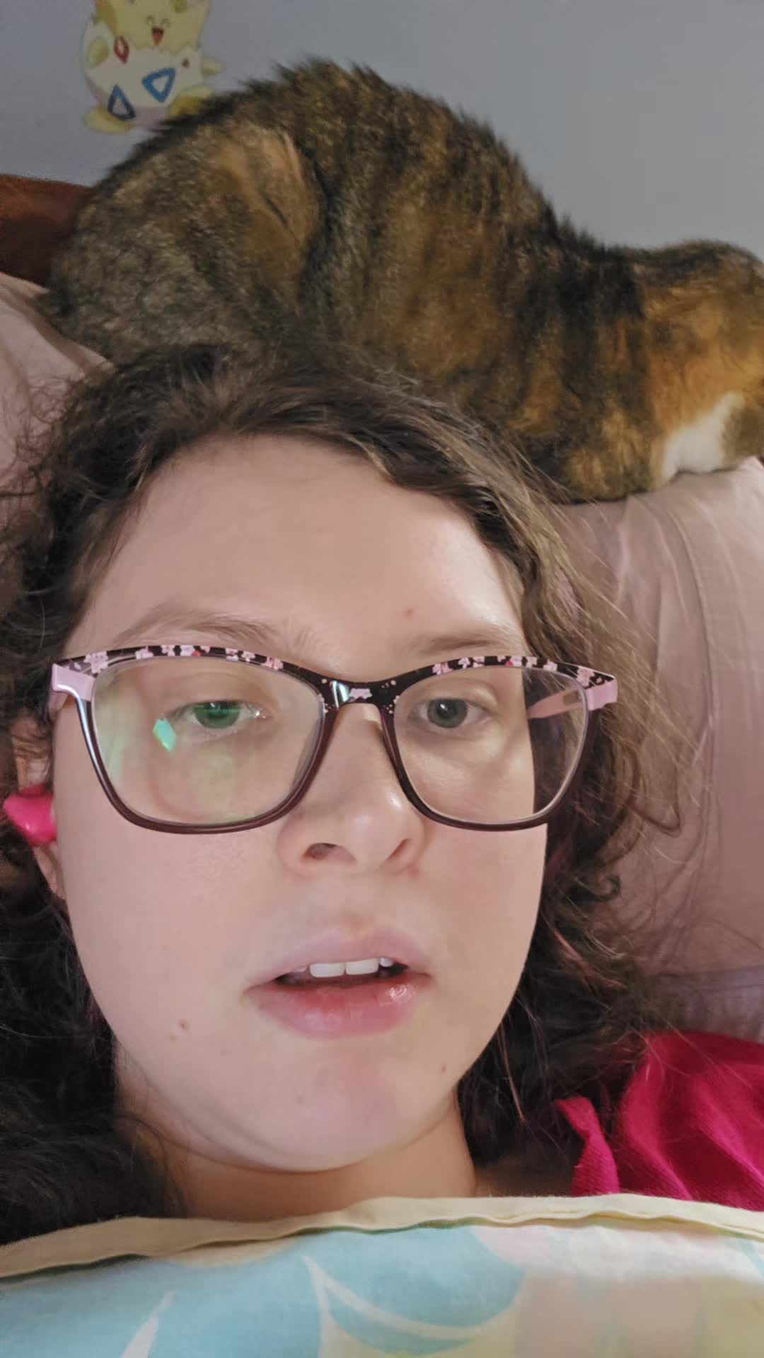 @catperson
