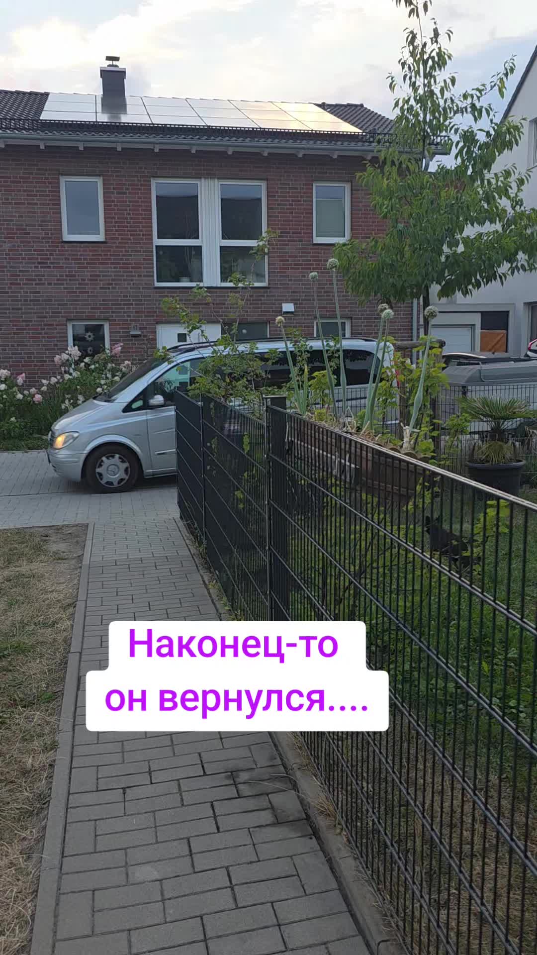 @natalia lier