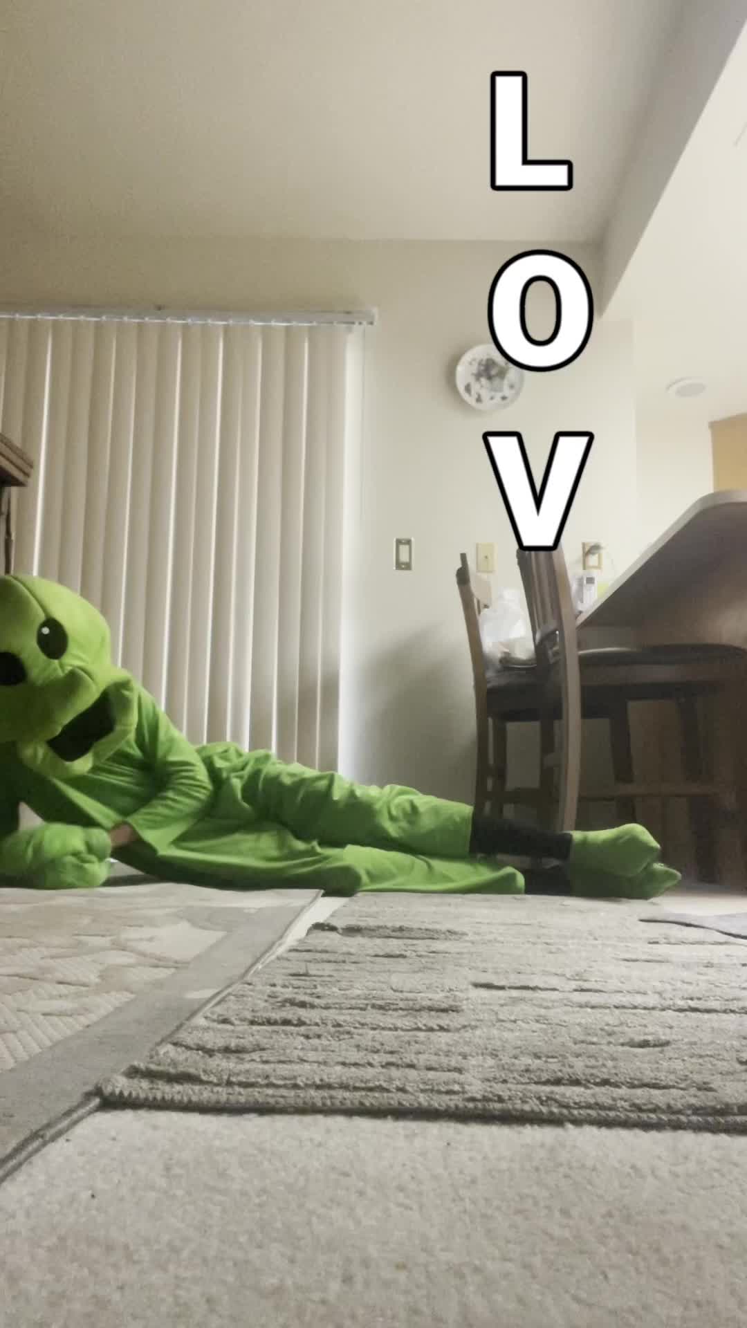 @Goofyahhpeashooter
