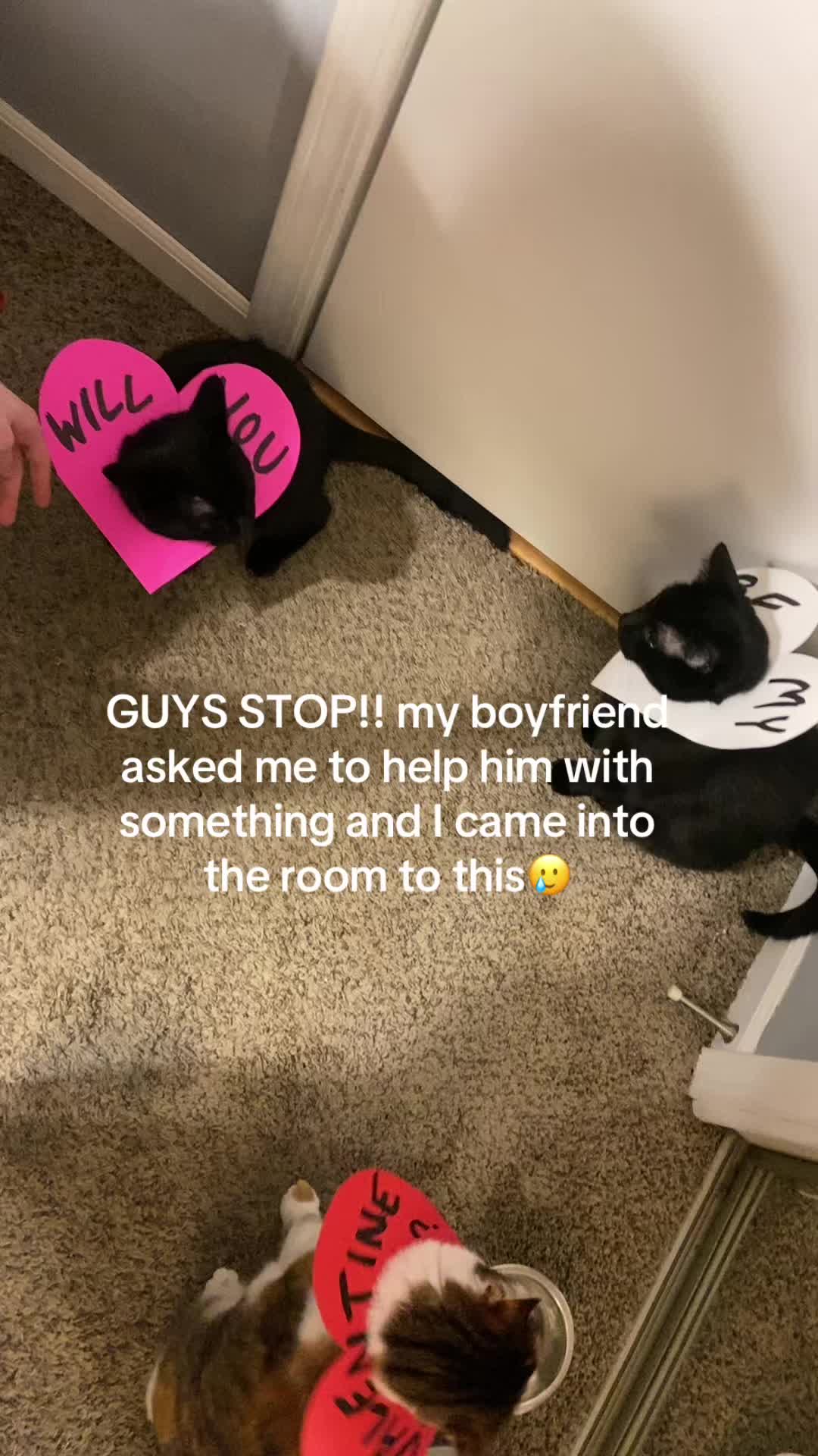 @adrianna
