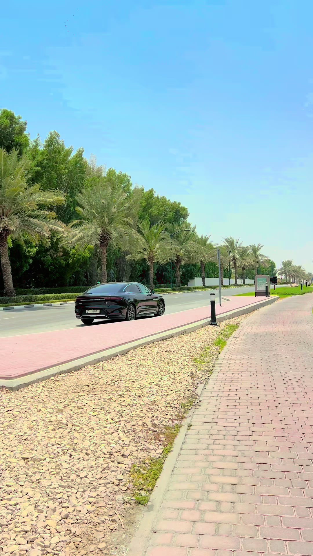 @Suliman06🇦🇪