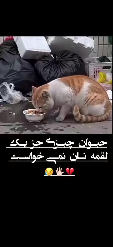 @Syedabdulkhader Abdulkhader