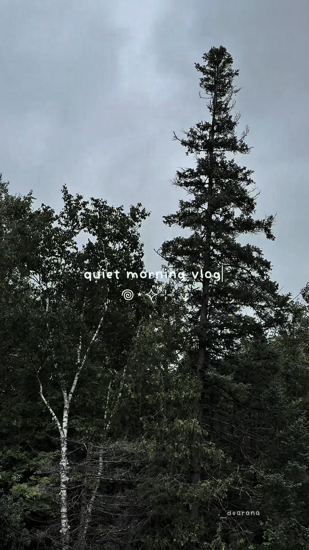 @ana ⋆˙⟡