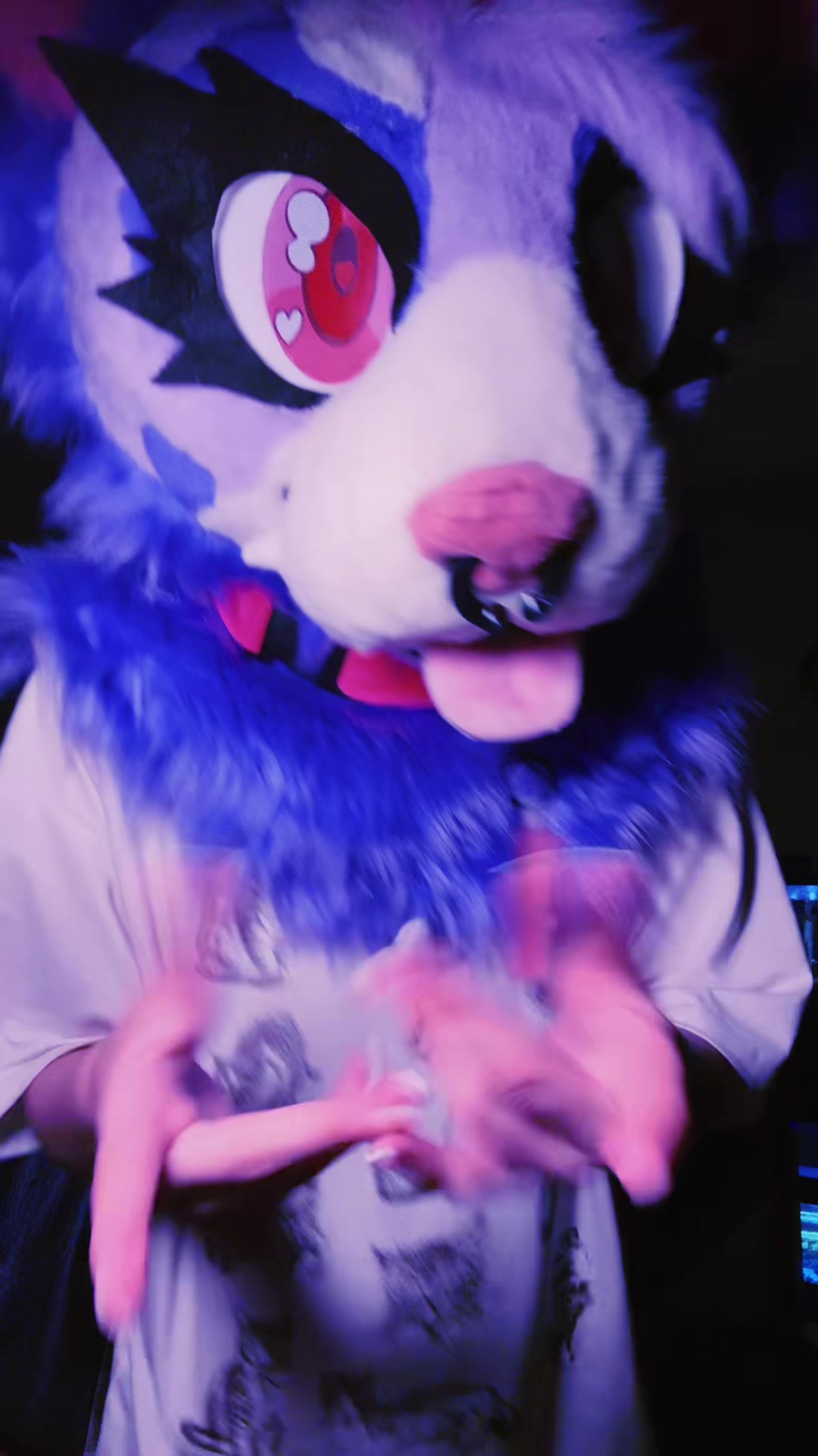 @Fl00fPawz✝️🐾