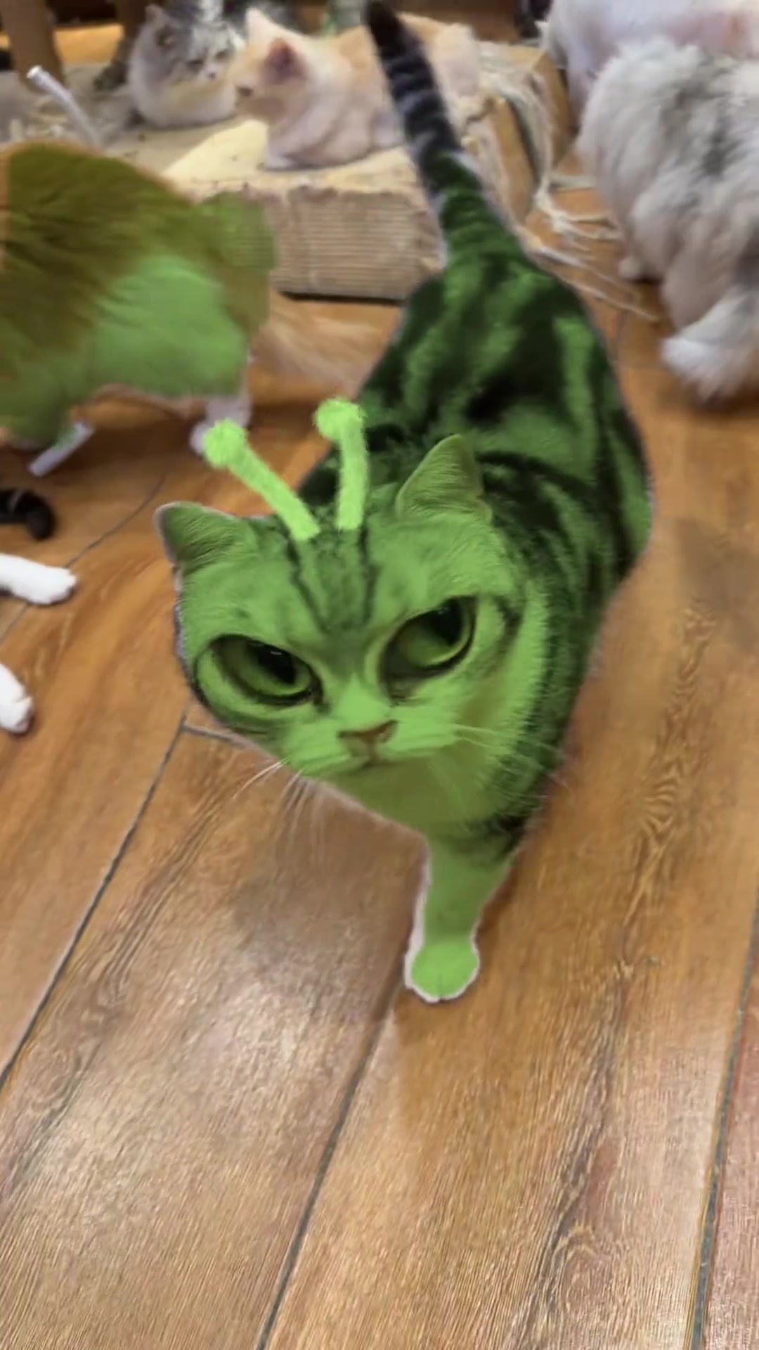 @Vitamin Meoww