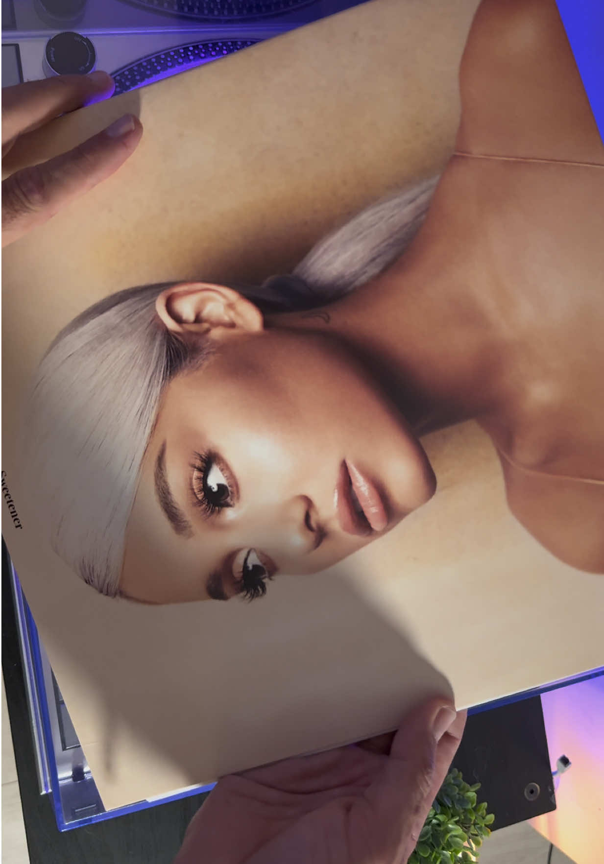 @✦ 𝕄𝕌𝕊𝕀ℂ ℝ𝟜𝕐𝕕𝕒𝕣 ✦