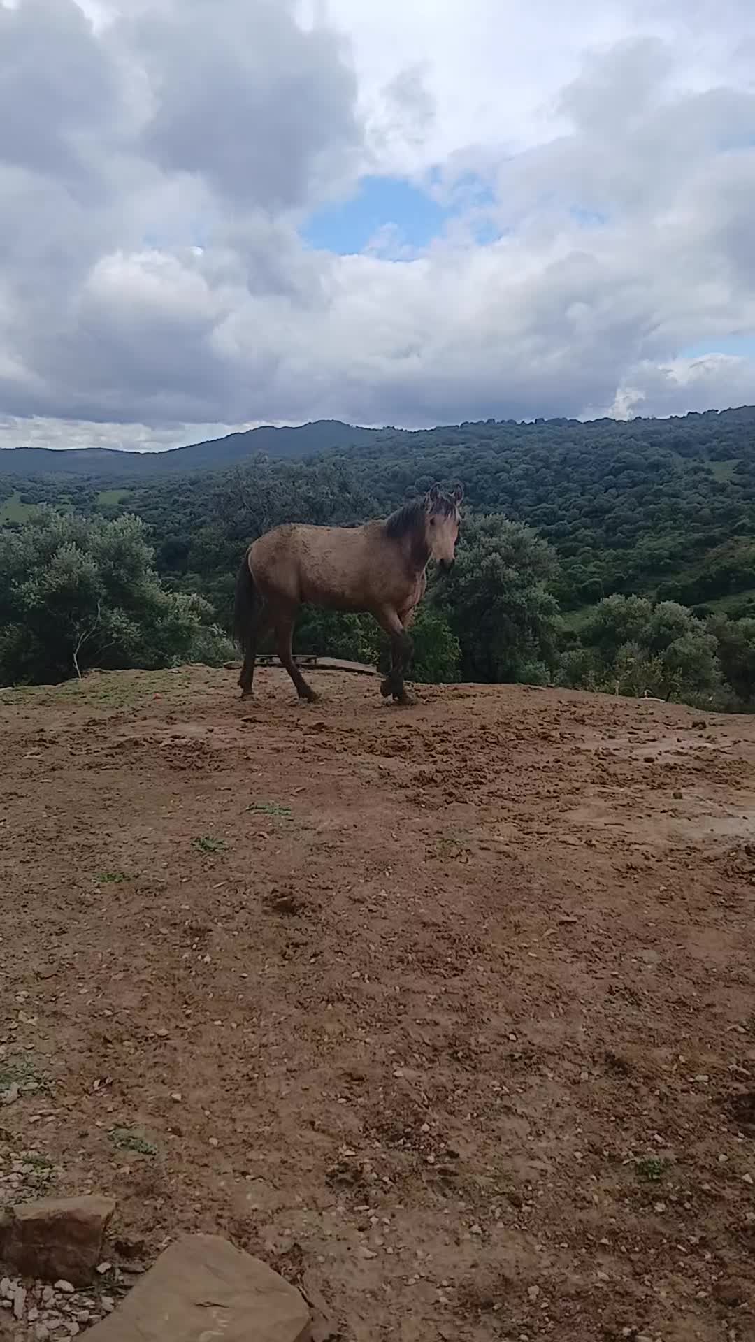 @🇪🇸Tequila-hottah&uuml;🇪🇺