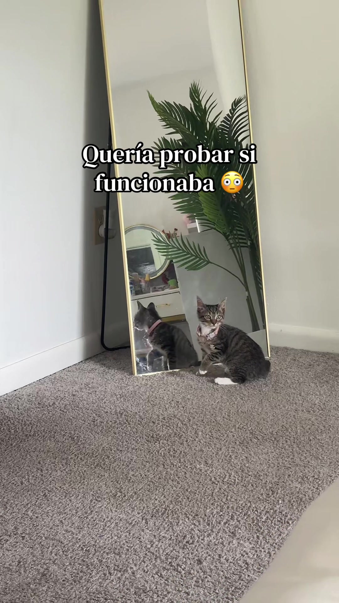 @Jessica Castro
