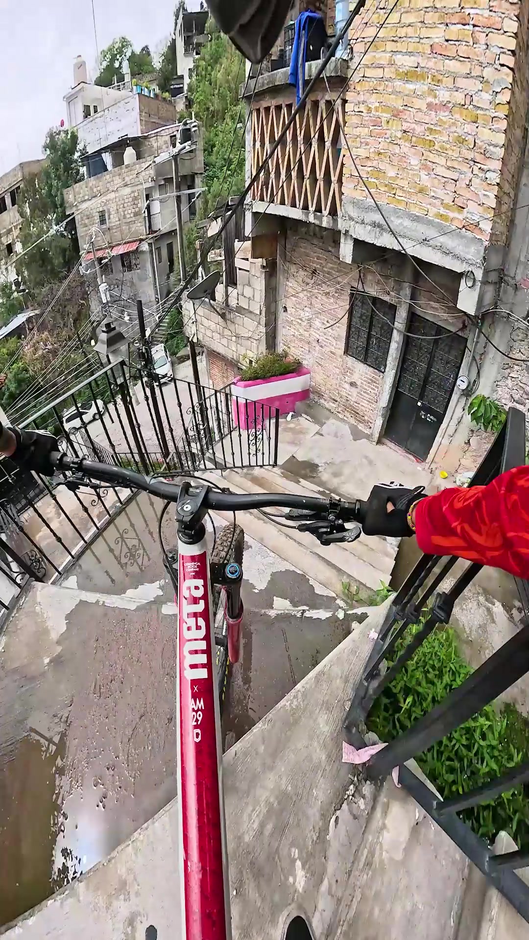 @Sebas Sotelo 🚵🏽 📽️