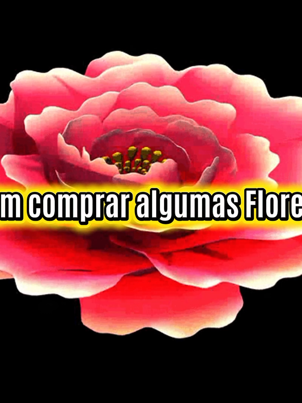 @musicaforyou2