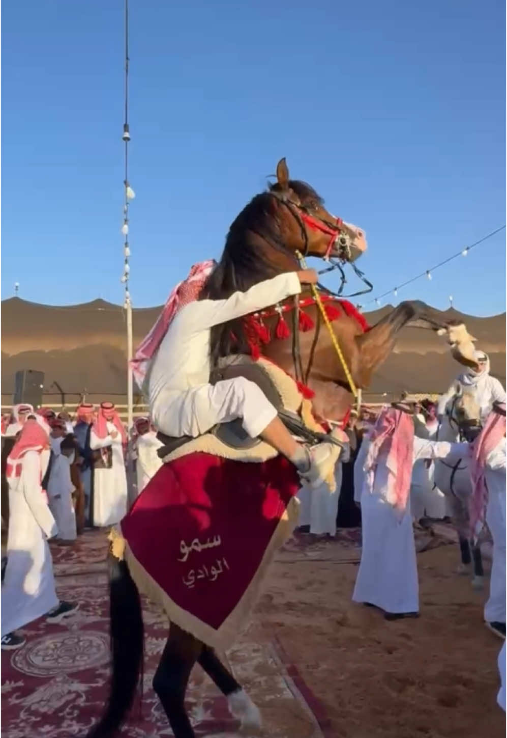 @هاني الدابس الشراري🐎