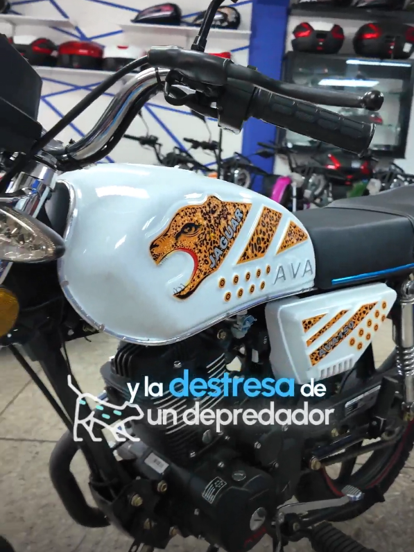 @Motos Ava