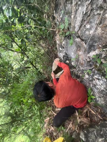 @LÍU 🇻🇳☣️