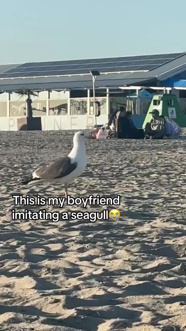@Jeraily
