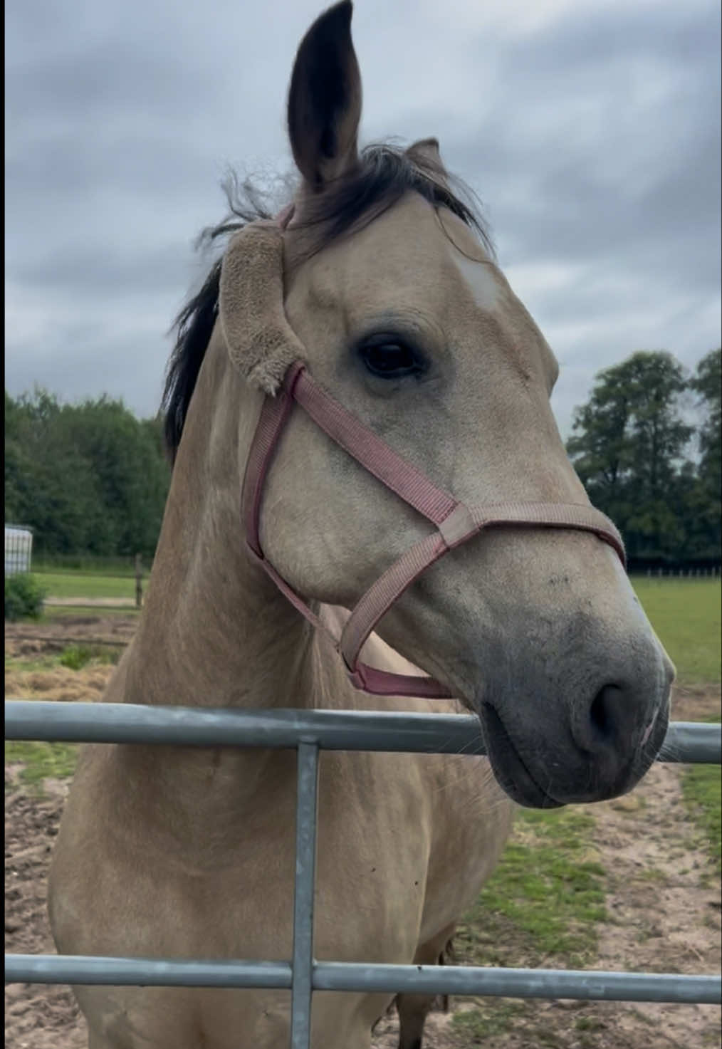 @Moor Farm Stables