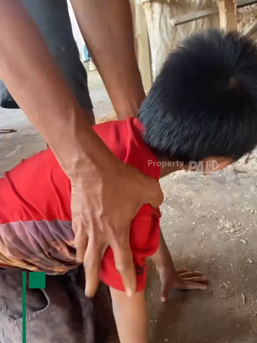 @Paltv-Memang Punyo Kito