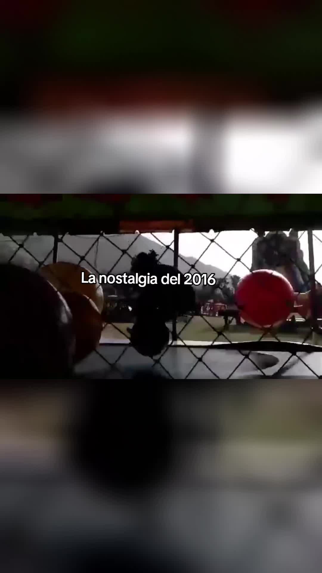 @mayraang18