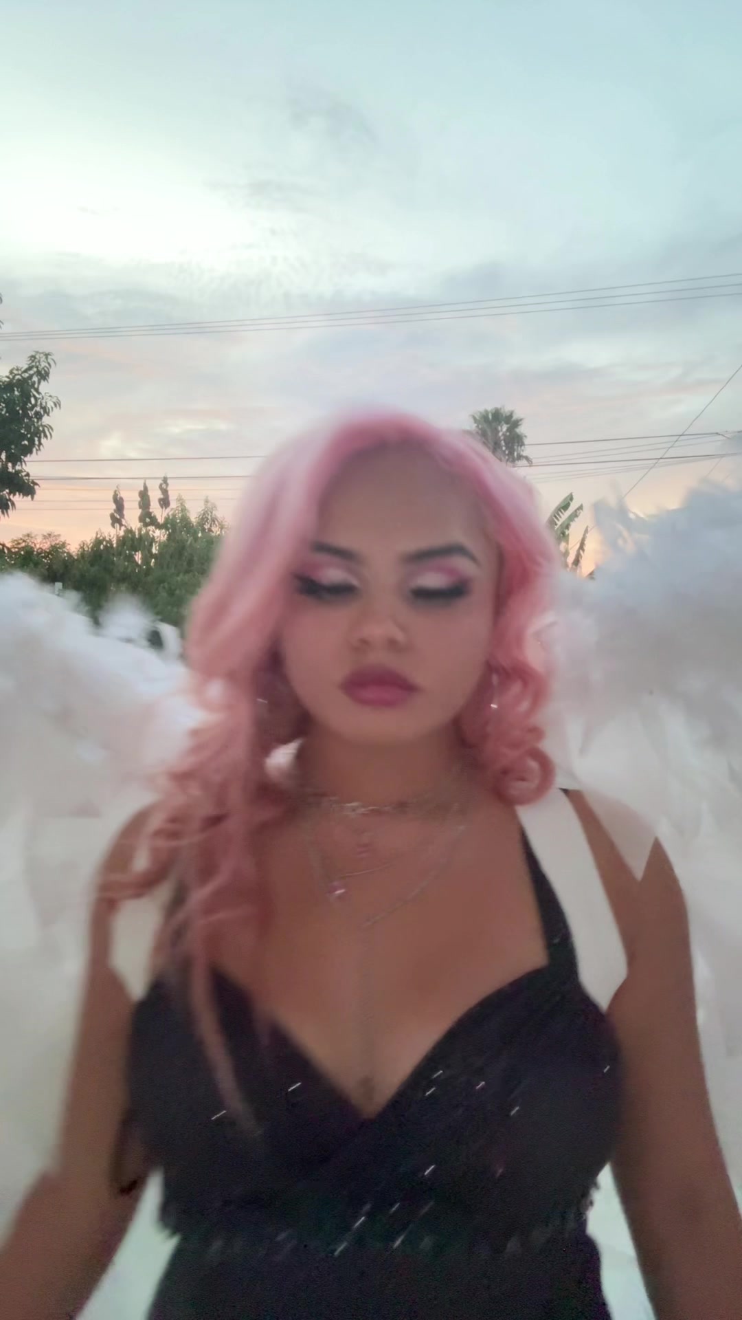 @arizstocat