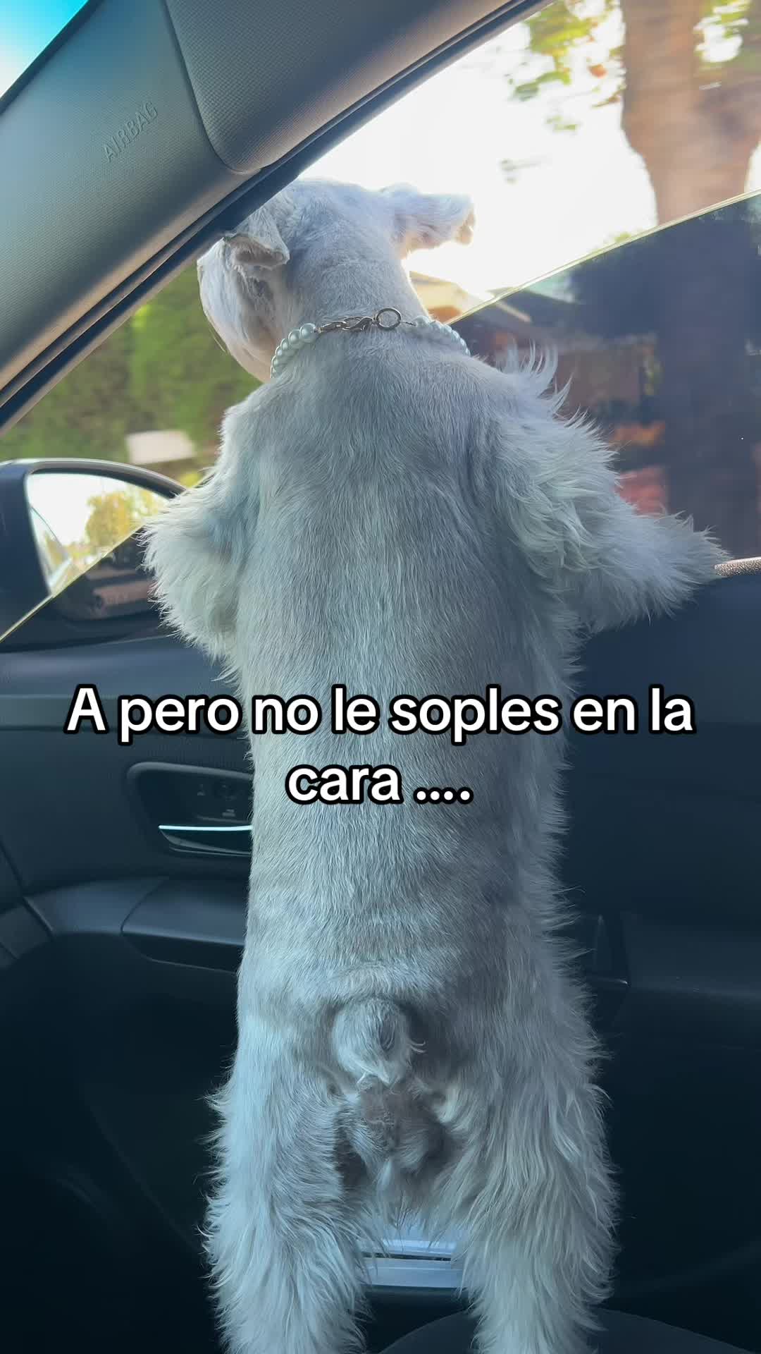 @La’ Beck