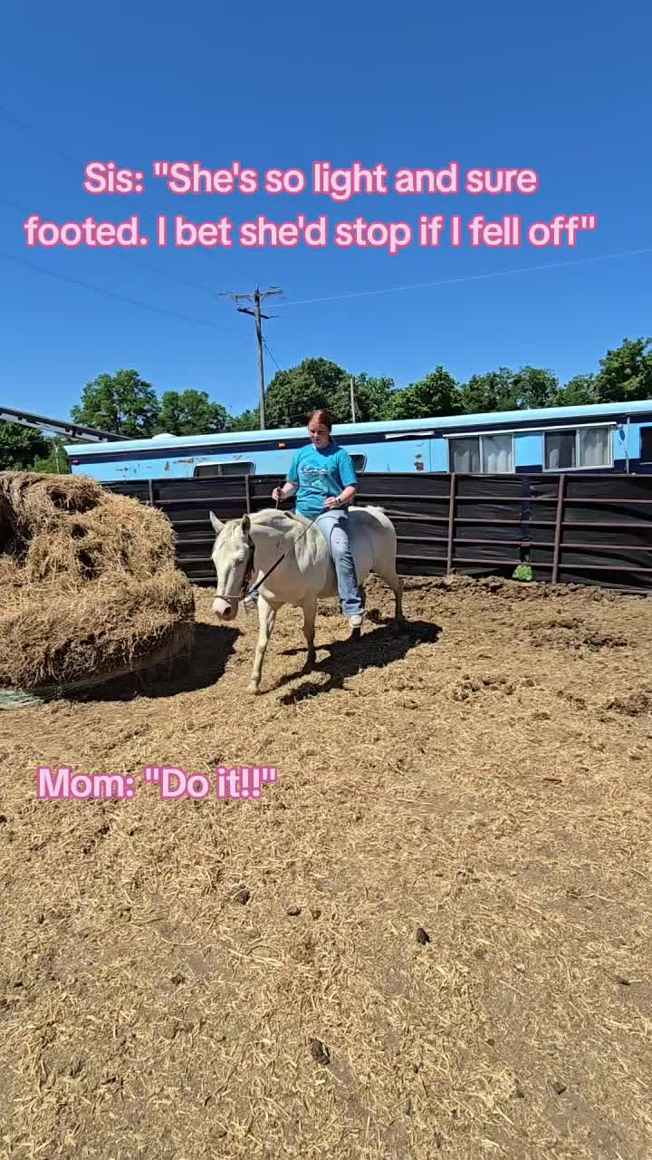 @Small Town Farm LLC