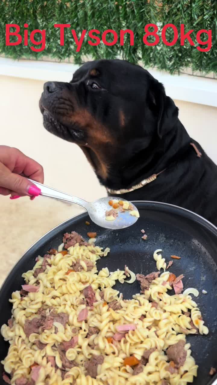 @Big Tyson 80kg