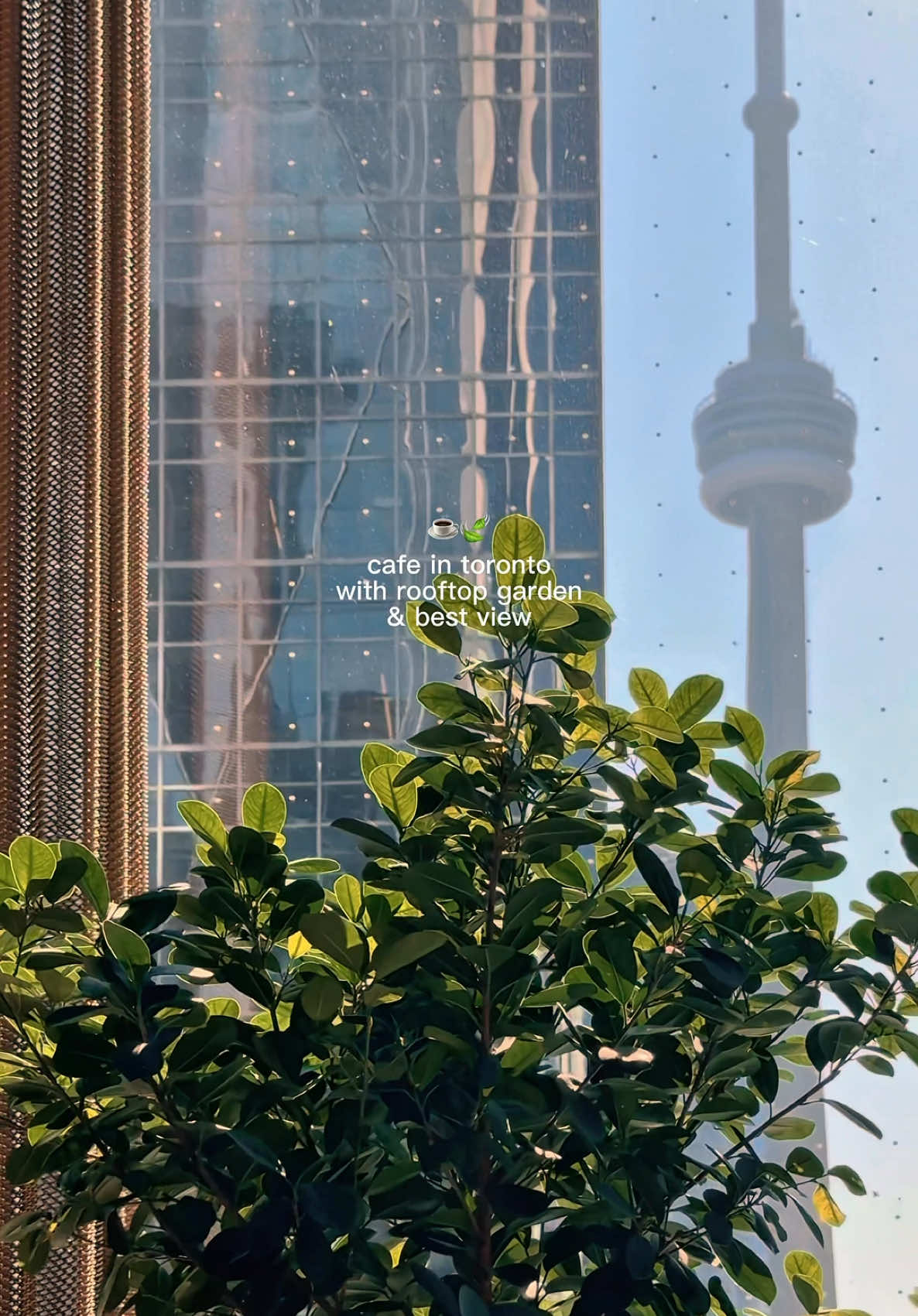 @Juni - Toronto 🤍