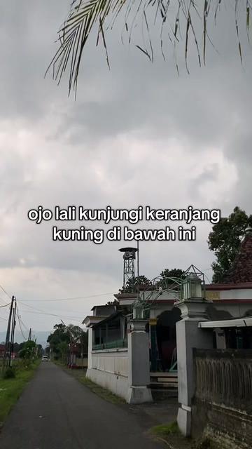 @dapaaa