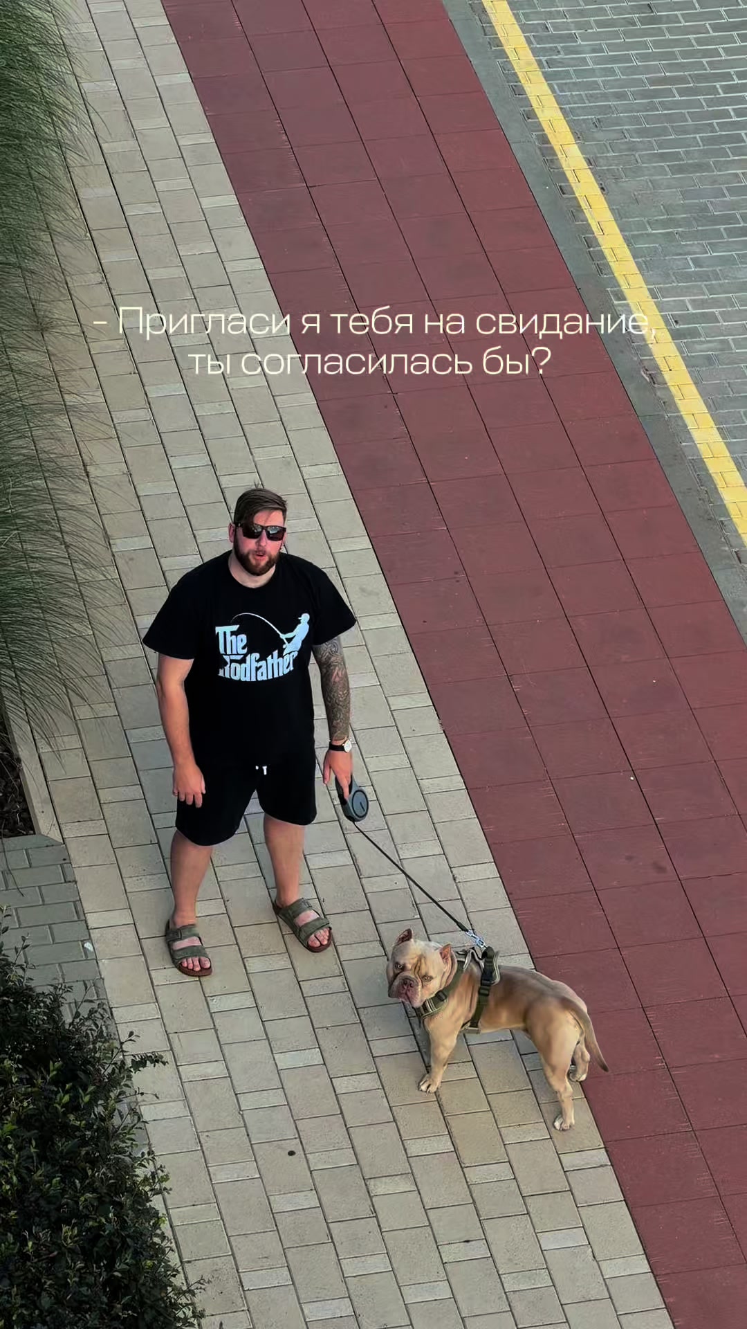 @Мария Богатырь
