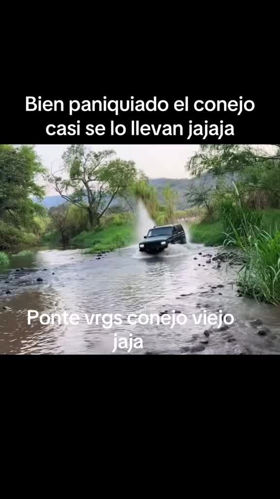 @El Ahijado toys_cln687