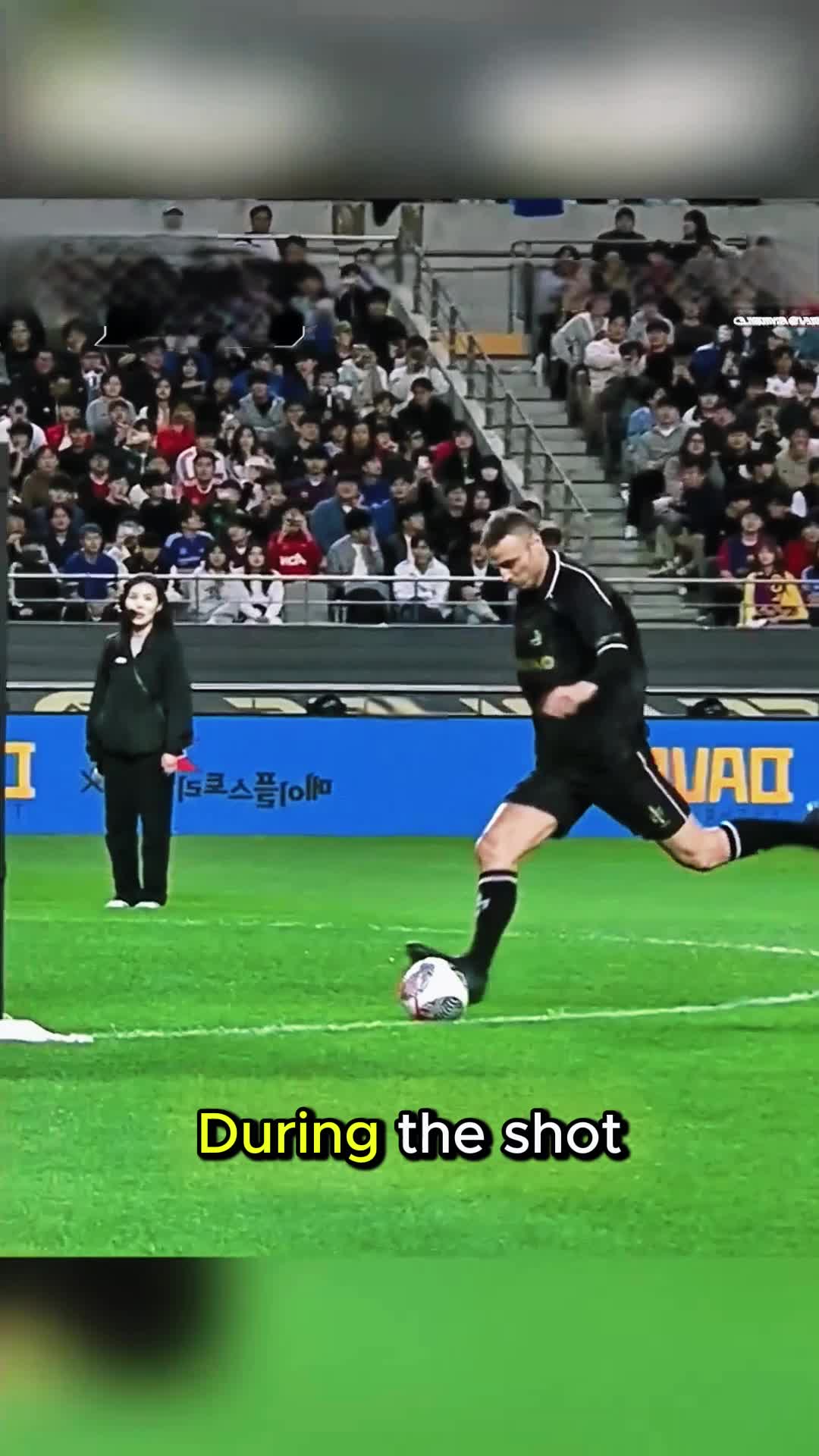 @tusmpchjc8