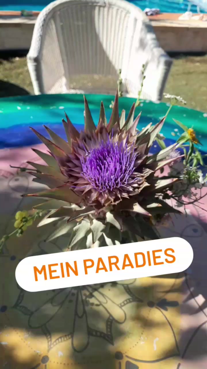 @FincaKunterbunt