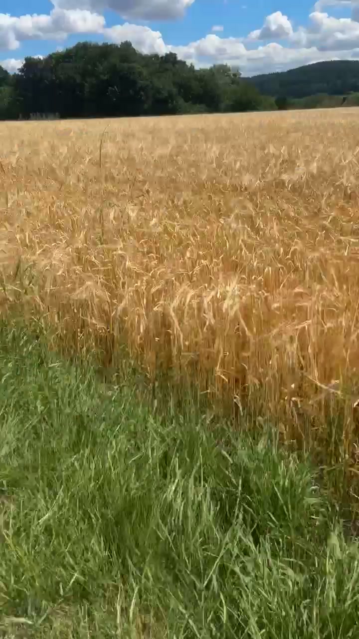 @Erik05