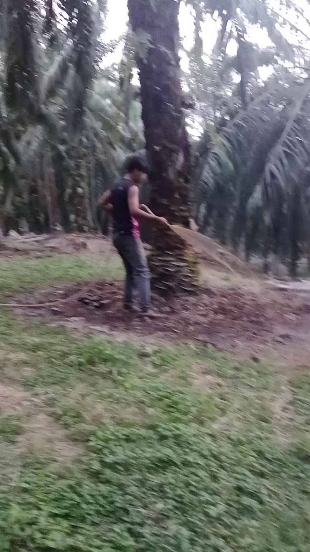 @Andri ajja01