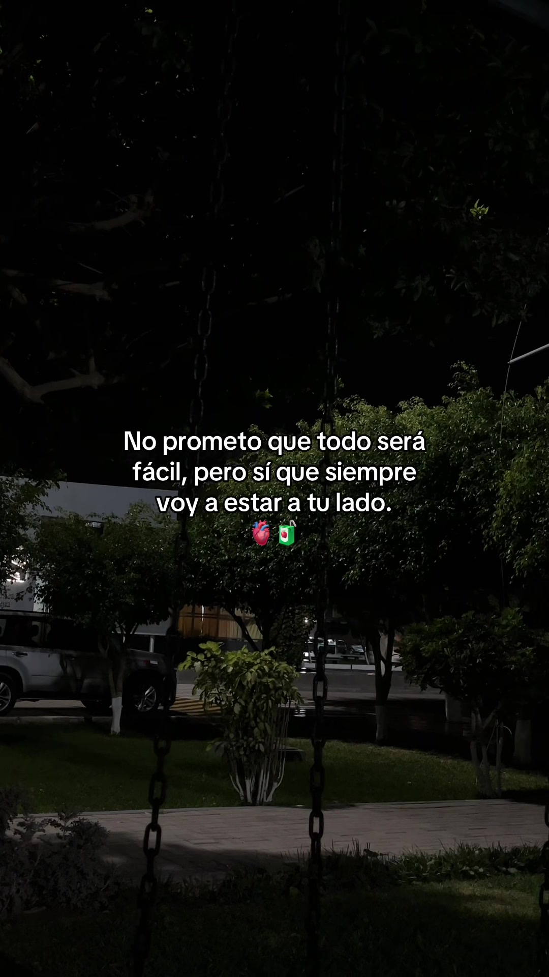 @Gatocix 🐱