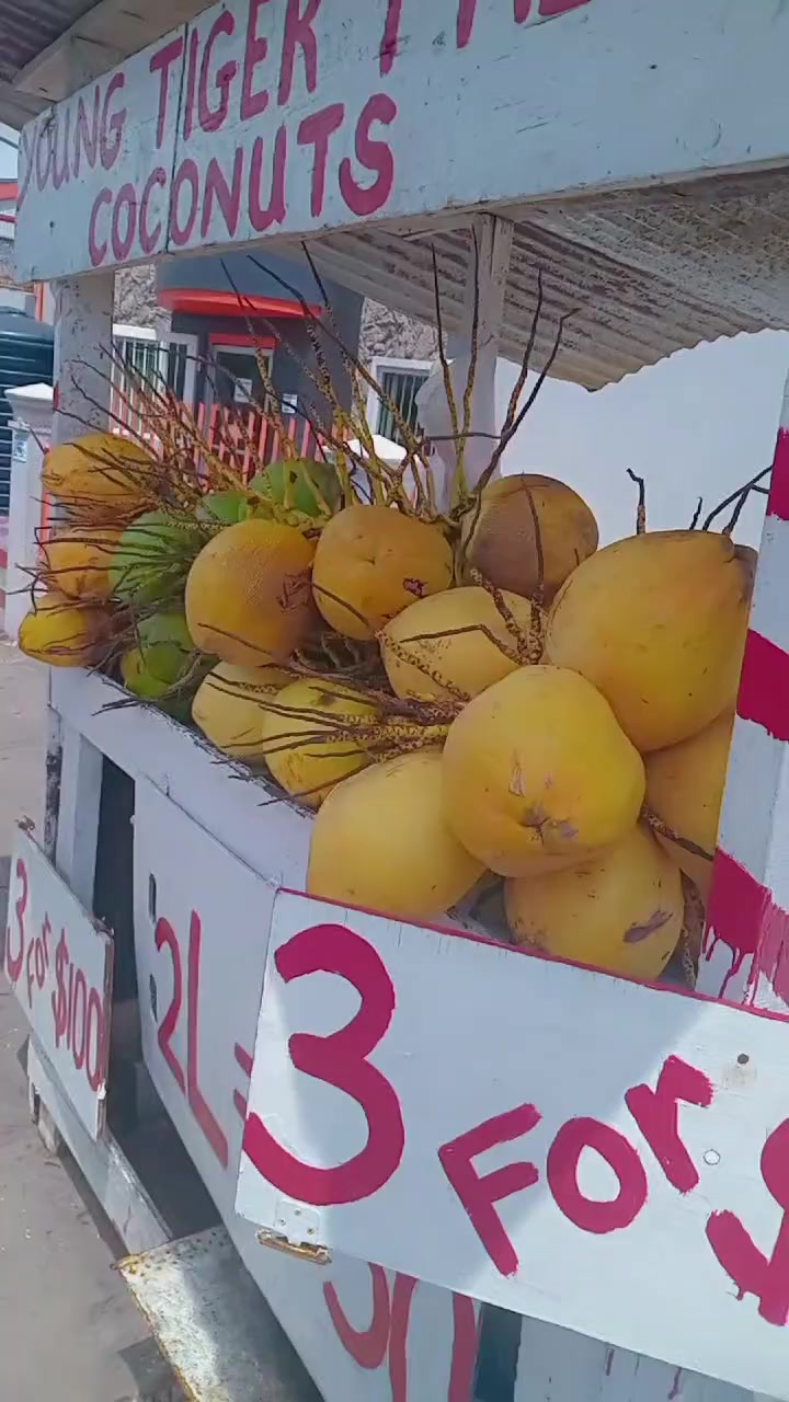@Young Tiger Cold Coconuts🥥🌴