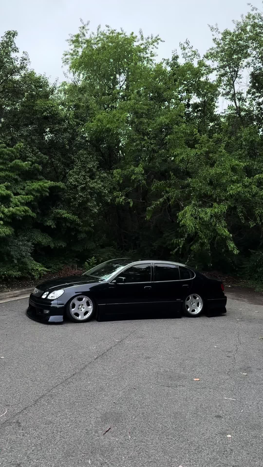 @gs3.tommy