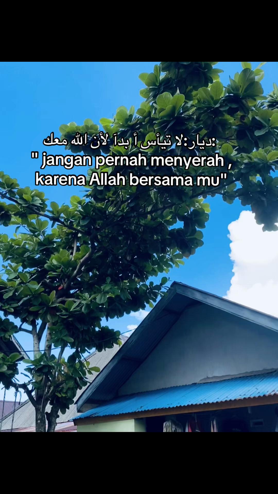 @elma