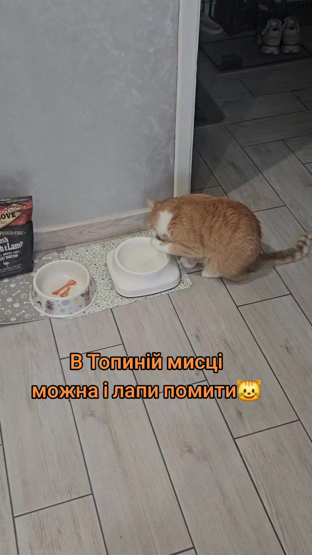 @Vasyl~Havniuk