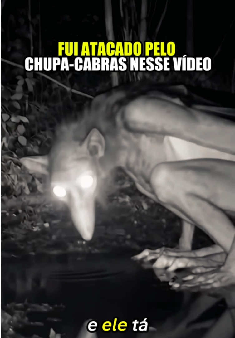 @felpzoficial